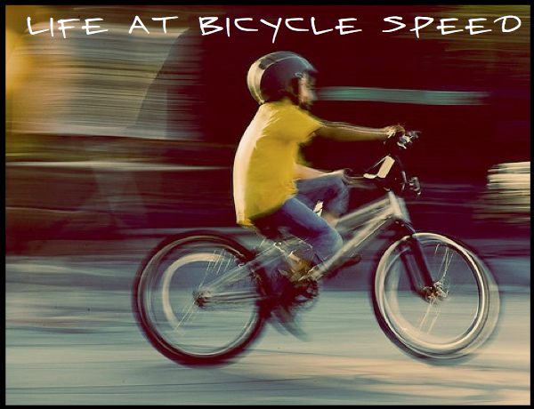 Life at Bicycle Speed