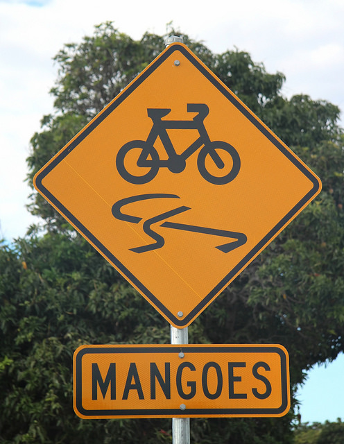 On a positive note, no killer bicycle mangos...